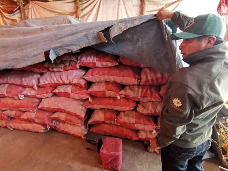 Productores en Tarija dan 5 días para cumplir “acuerdo de la cebolla”