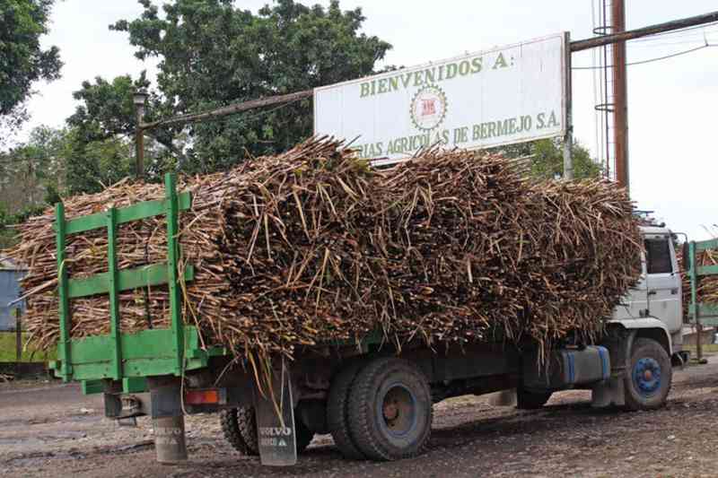 Agroindustria de Tarija arranca la zafra azucarera el primero de julio